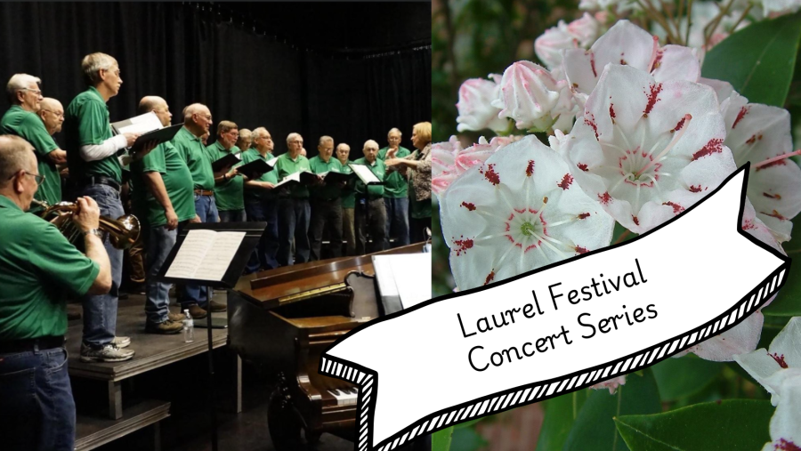 laurel fest concert series band