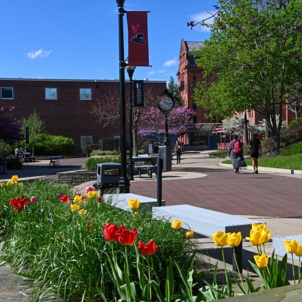 mans-campus